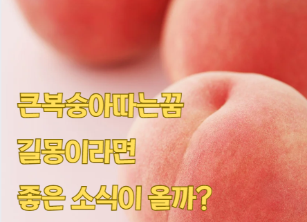 큰복숭아따는꿈 길몽이라면 좋은 소식이 올까?