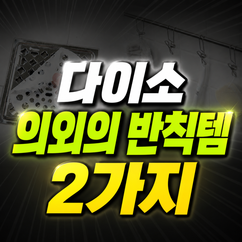 다이소 의외의 반칙템, 추천템, 의외의 반칙템 2가지 1000원 써보면 놀라요