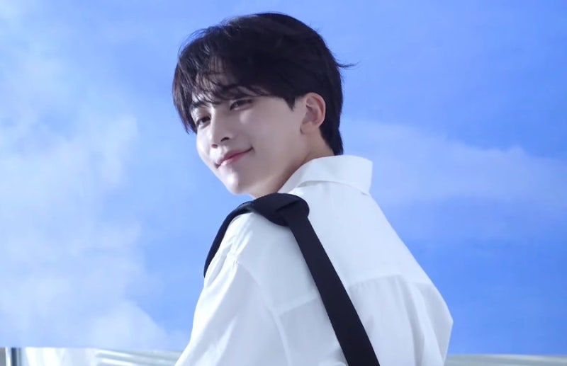 SEVENTEEN 穿越小說: 我穿越到喜歡的小說裡當路人的機率是多少？