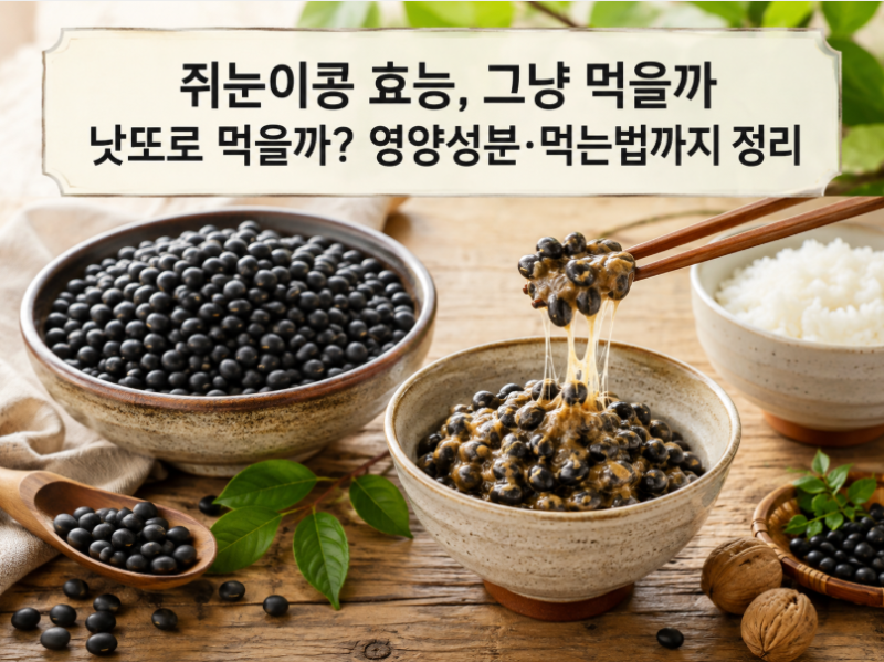쥐눈이콩 효능, 그냥 먹을까 낫또로 먹을까? 영양성분·먹는법까지 정리