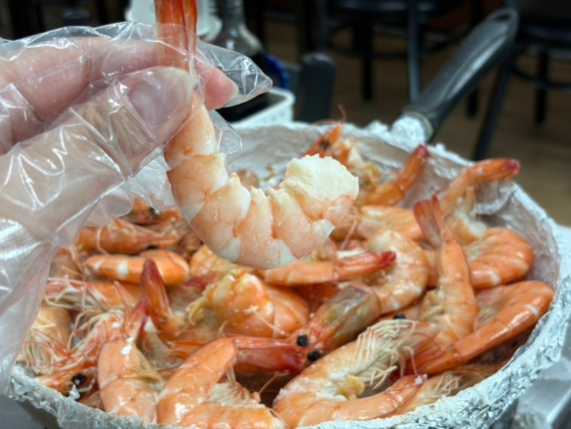 홍성 남당항대하축제 대하 오마카세로 즐길 수 있는 퀄리티 좋은 찐맛집 | 또오리 회수산