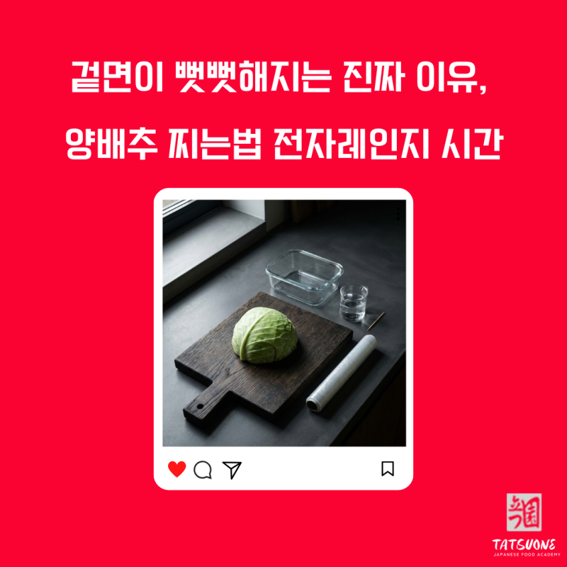 양배추 전자레인지 찌는법 시간은 얼마나 되야 이것이 될까요?