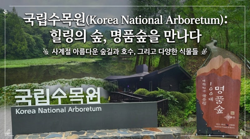 [포천 가볼 만한 곳] 국립수목원 100% 즐기기! 전나무 숲길부터 육림호 카페까지 간다~국립수....