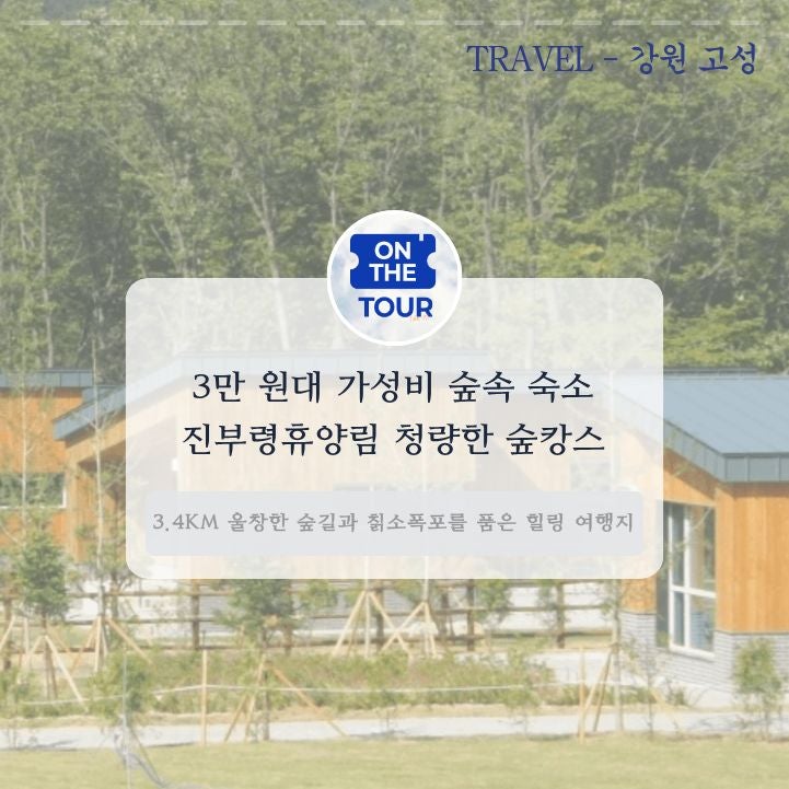 가성비 좋은 고성 숙소 국립 진부령자연휴양림 3만원대 숲캉스
