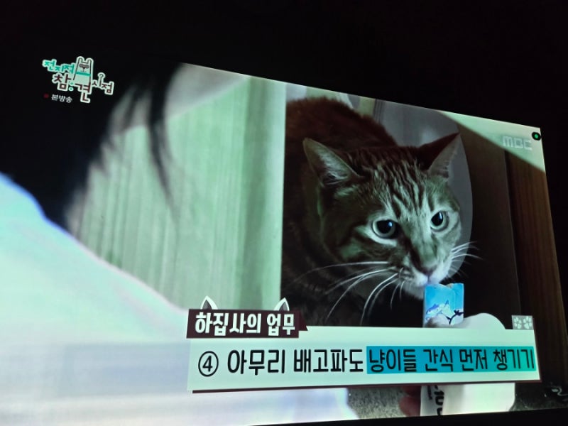 전지적 참견시점 하윤경 집 하윤경 식당 하윤경 친구 하윤경 정동진 독립영화제 하윤경 영화....