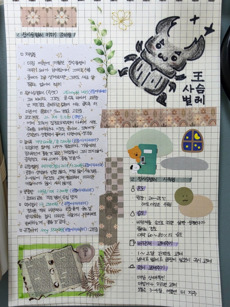 다이어리 : 초보다꾸러의 '왕사슴벌레' 키우기 준비 기록