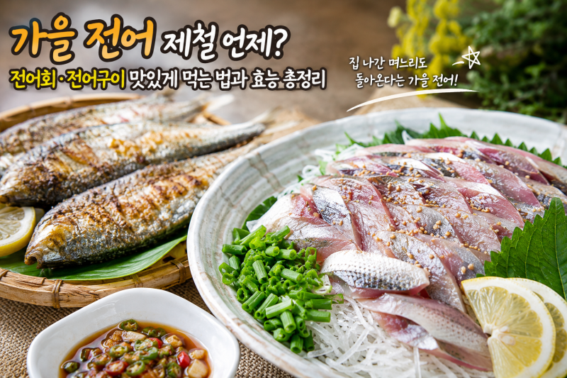 가을 전어 제철 언제? 전어회·전어구이 맛있게 먹는 법과 효능 총정리