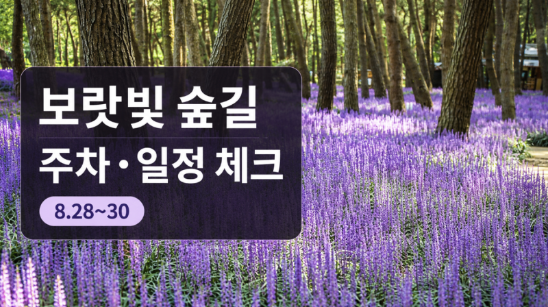 2026 서천 장항 맥문동 꽃 축제, 600만 본 보랏빛 숲 일정·주차 체크
