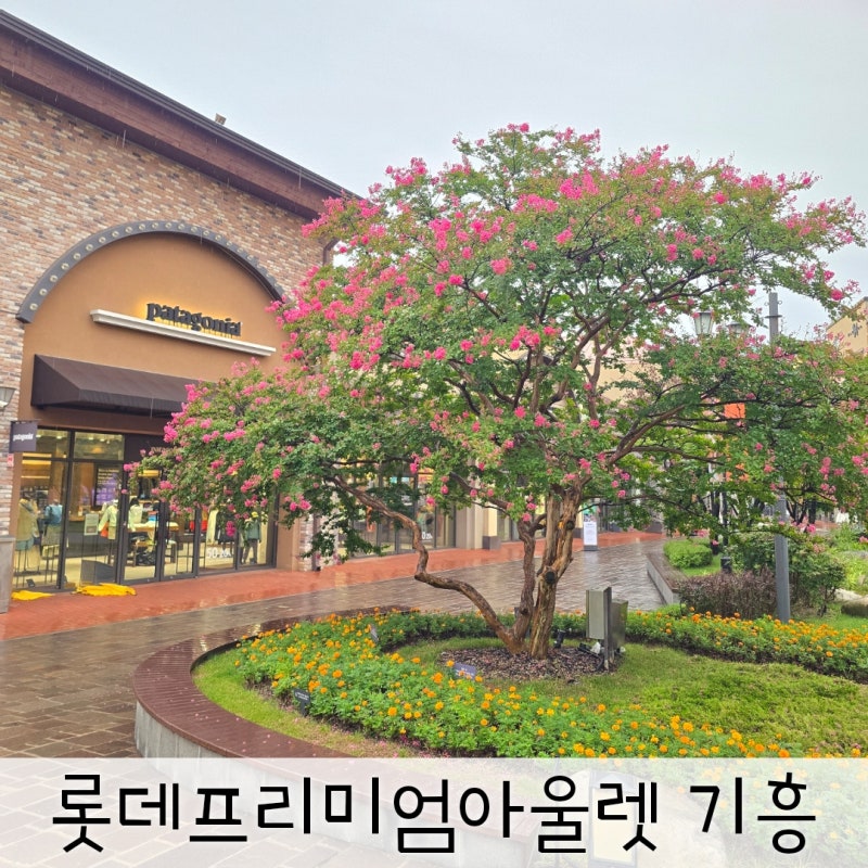 롯데프리미엄아울렛 기흥 나이키 아디다스 할인 쇼핑후기 테이스트그라운드 식당가 안스베....