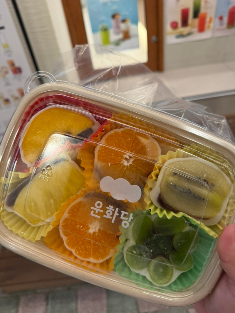 제주도 동문시장 고급과일 과일모찌 맛집 | 운화당
