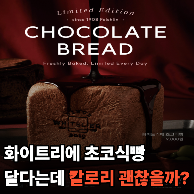 화이트리에 초코식빵 vs 기본식빵, 칼로리 얼마나 차이날까?