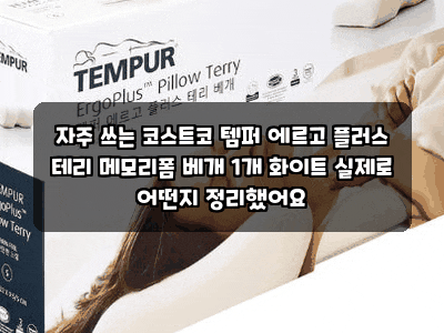 자주 쓰는 코스트코 템퍼 에르고 플러스 테리 메모리폼 베개 1개 화이트 실제로 어떤지 정리....
