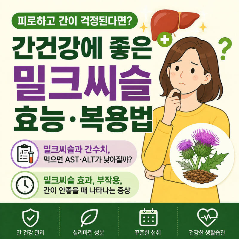피로하고 간이 걱정된다면? 간건강에 좋은 밀크씨슬 효능복용법 밀크시슬과 간수치, 먹으면 ....