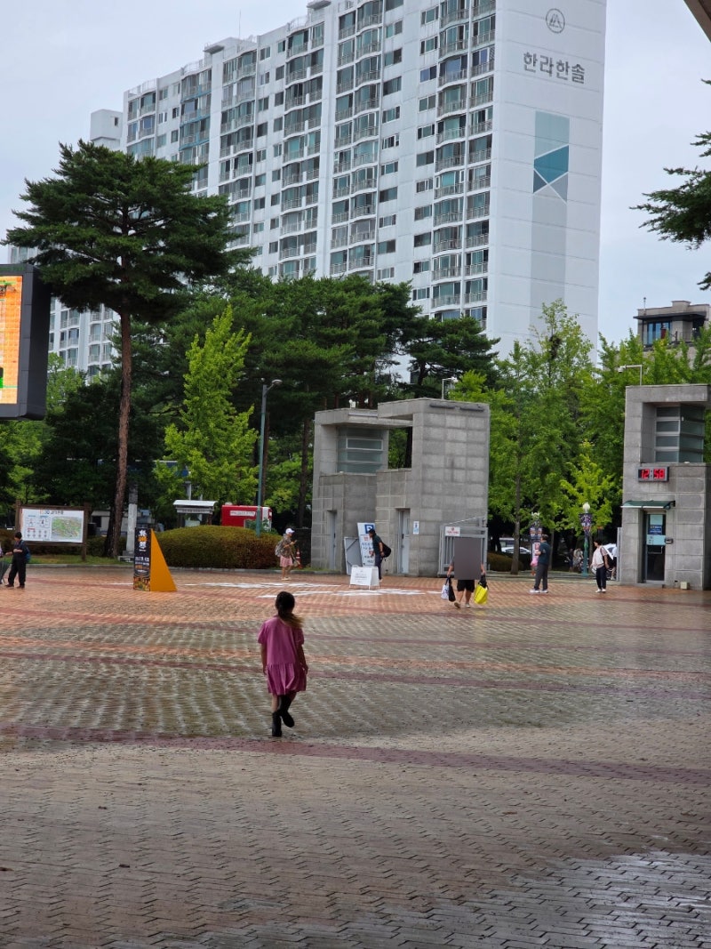 울산대공원 물놀이장 아쿠아시스,가성비 워터파크 예약 없이 현장발권 후기