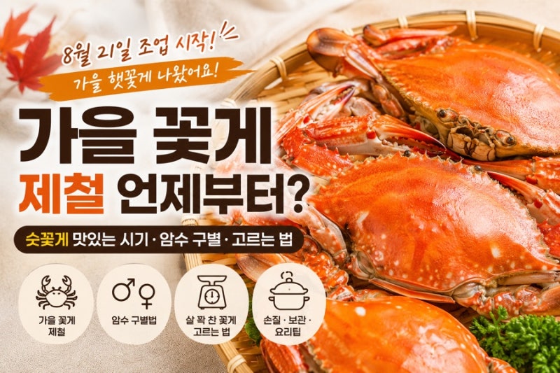 가을 꽃게 지금 먹어야 할까? 2026 꽃게 제철·암수 구별·살 꽉 찬 꽃게 고르는 법