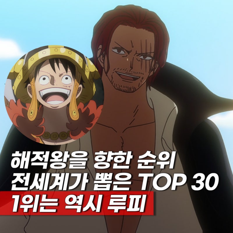 원피스 전세계 등장인물 인기 캐릭터 순위 투표 최종결과 TOP 30