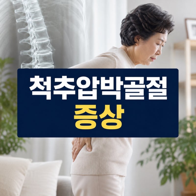 척추압박골절 증상, 단순 허리통증과 다른 결정적인 신호
