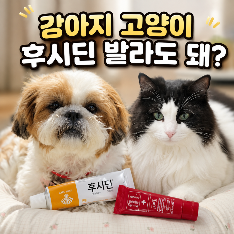강아지 고양이 후시딘 괜찮을까? 상처연고 추천