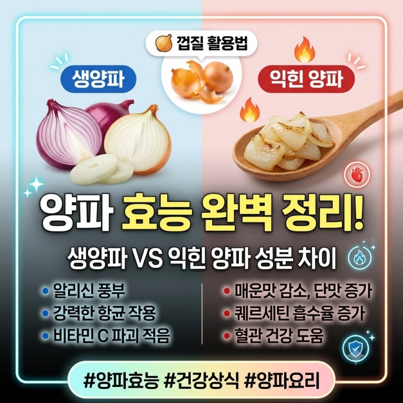 양파 효능과 먹는법, 생양파 익힌 양파 성분 차이 및 껍질 활용법 총정리