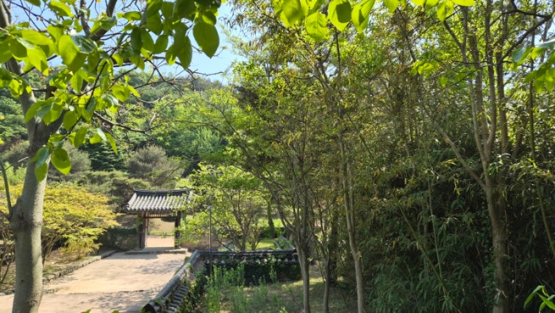 [충남 태안] 안면도 수목원/안면도자연휴양림