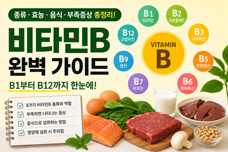 비타민B 부족하면 나타나는 증상은? B1부터 B12까지 효능·음식·섭취법 총정리