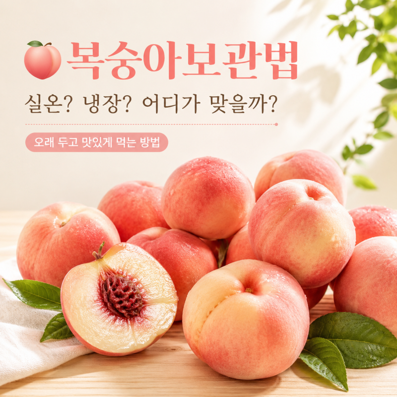 복숭아 보관법 실온보관 냉장법 여름 과일