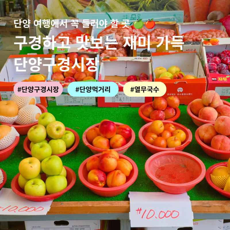 단양구경시장 충북 여행 단양 가볼만한 곳 장날 먹거리