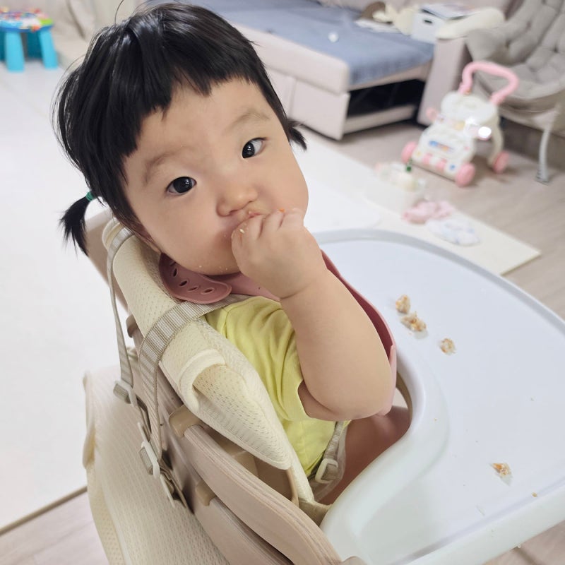 10개월 이유식 질감, 입자와 되기 어느 정도가 맞을까