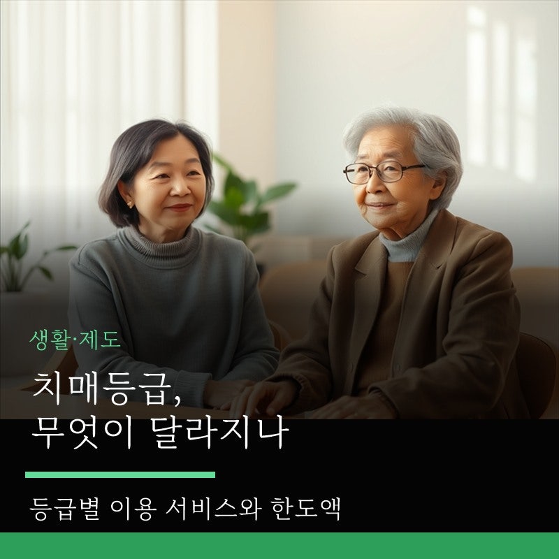 치매등급, 무엇이 달라지나 — 등급별 이용 서비스와 인지지원등급