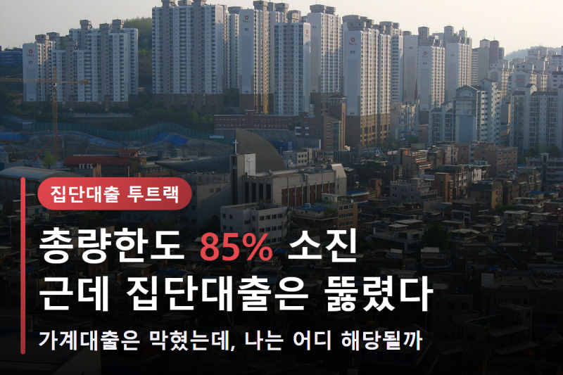 집단대출은 뚫리고 주담대는 막혔다, 은행 투트랙 전략 뜯어봤다