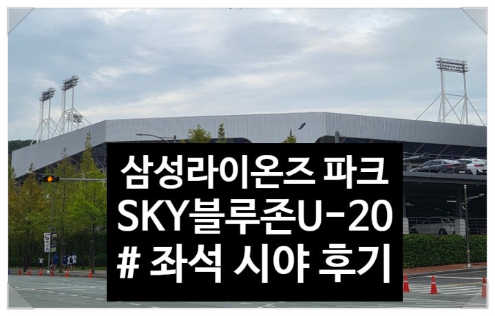 대구 삼성라이온즈 파크 SKY 블루존 U-20구역 6열 좌석 시야 후기