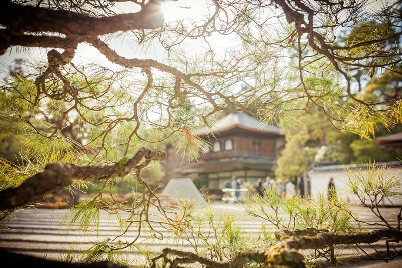 일본 관세 면세 범위 초과, 입국할 때 자진신고 해야할까?