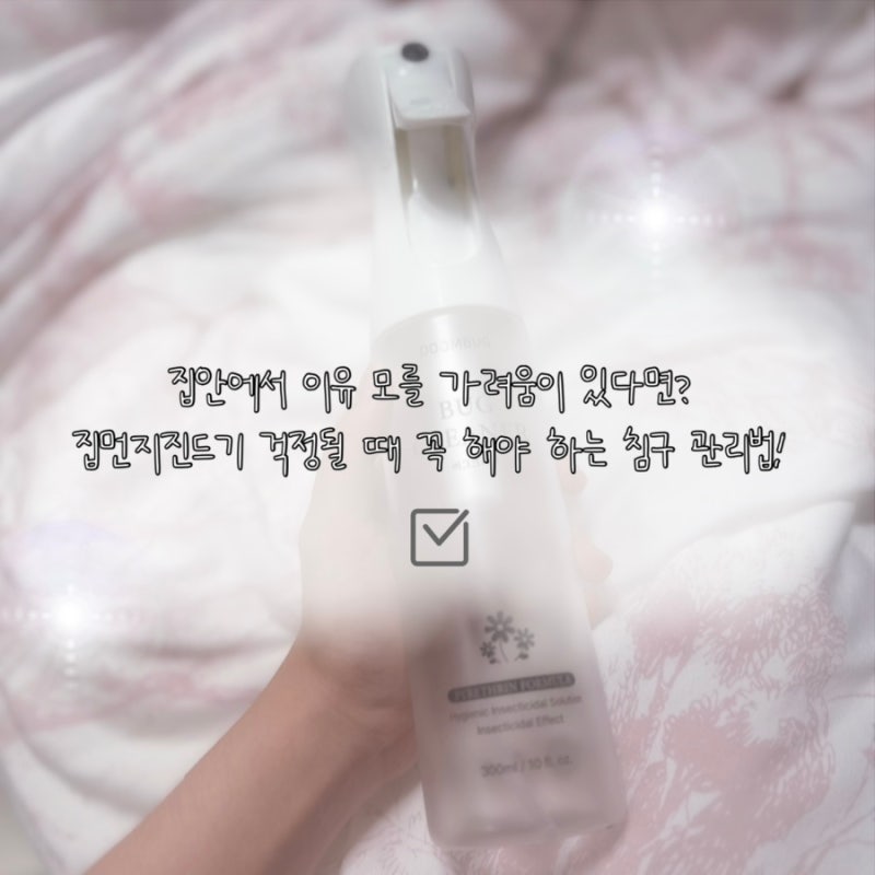 이유 모를 가려움 원인? 집먼지진드기 걱정될 때 꼭 해야 하는 침구 관리법 (+ 진드기, 빈대 ....