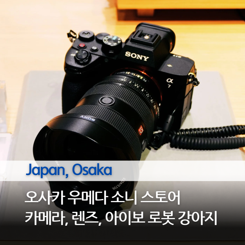 오사카 우메다 소니 스토어, 아이보 로봇강아지부터 카메라와 렌즈 직접 체험