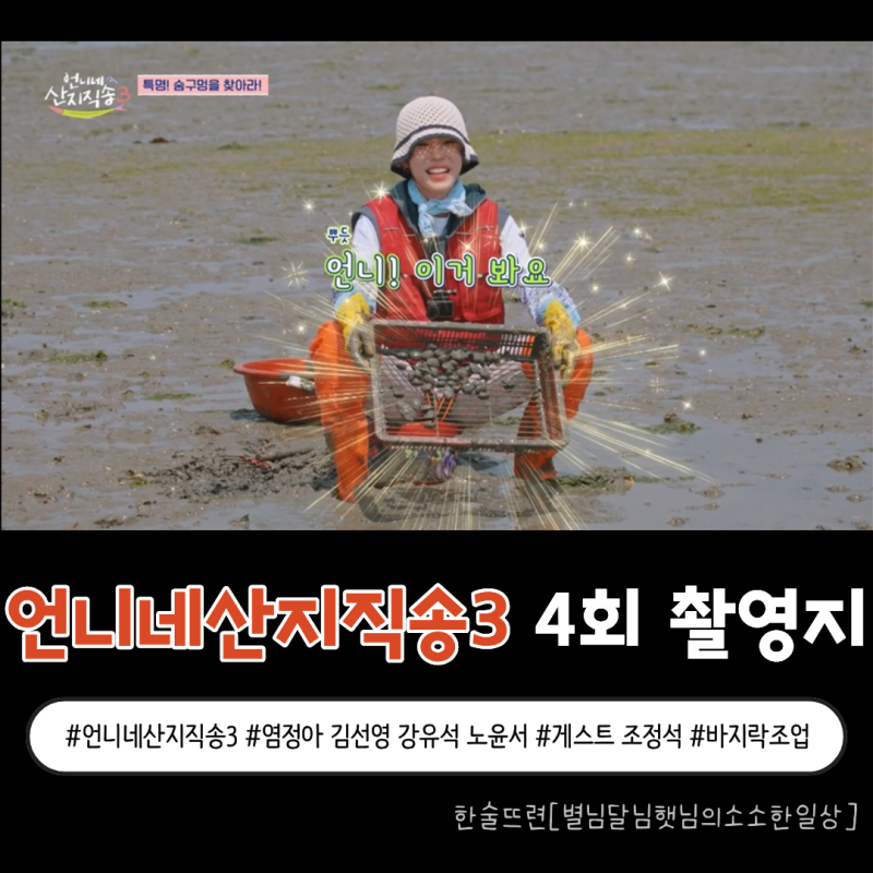 [언니네산지직송3 4회 촬영지] 통영 지나 태안으로! 만리포 오션뷰 밥상과 갯벌 바지락 페스....
