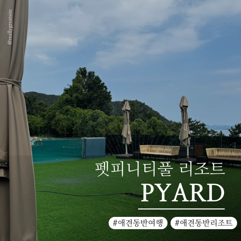 경남 애견동반 펜션 풀빌라 리조트 재방문 의사 100%, 고성 피야드