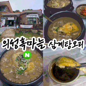 경북 의성 흑마늘 삼계탕오리 내돈내산, 진한 흑마늘 소스에 찍어 먹는 몸보신 맛집추천