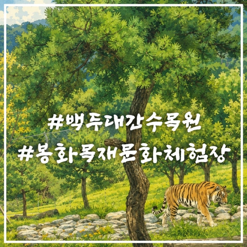 봉화여행 : 백두대간 수목원에서 하룻밤 그리고 봉화목재문화체험장