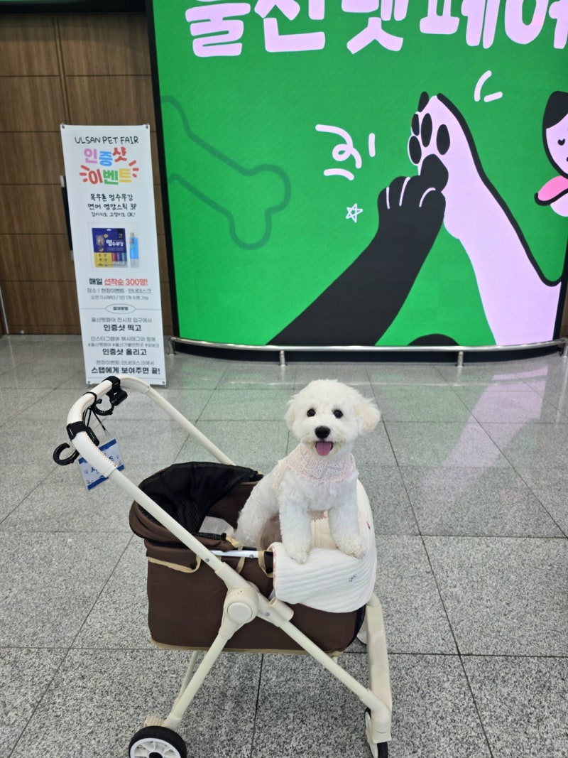 [푸른이와 다녀온 2026 울산펫페어 후기 ]