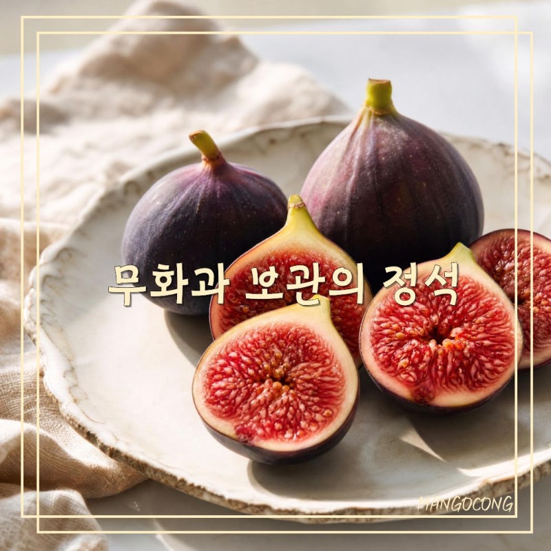 무화과 보관법 후숙법 세척법, 냉장 냉동 보관까지 총정리