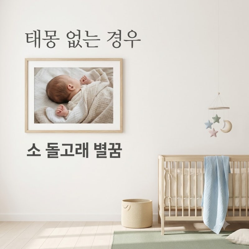 태몽 꾸는 시기 없는 경우 소 돌고래 별꿈 해몽