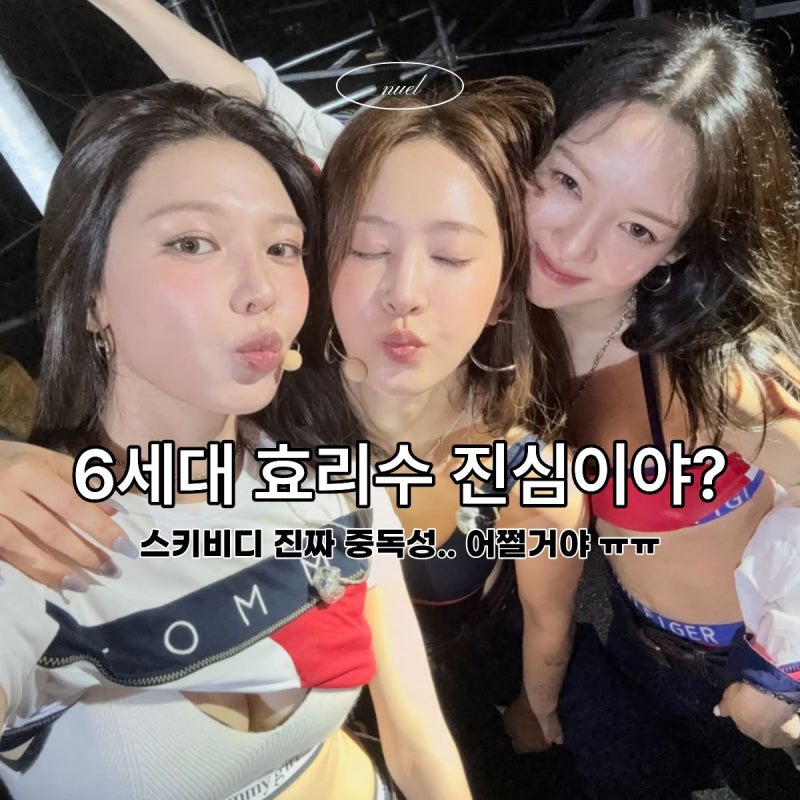 6세대 효리수 타미힐피거 올 세트로 맞춰입고 스키비디