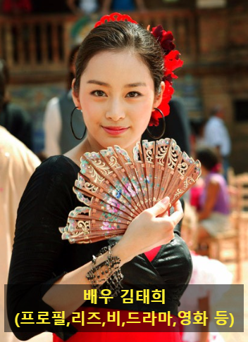 배우 김태희(프로필,리즈,비,드라마,영화 등)