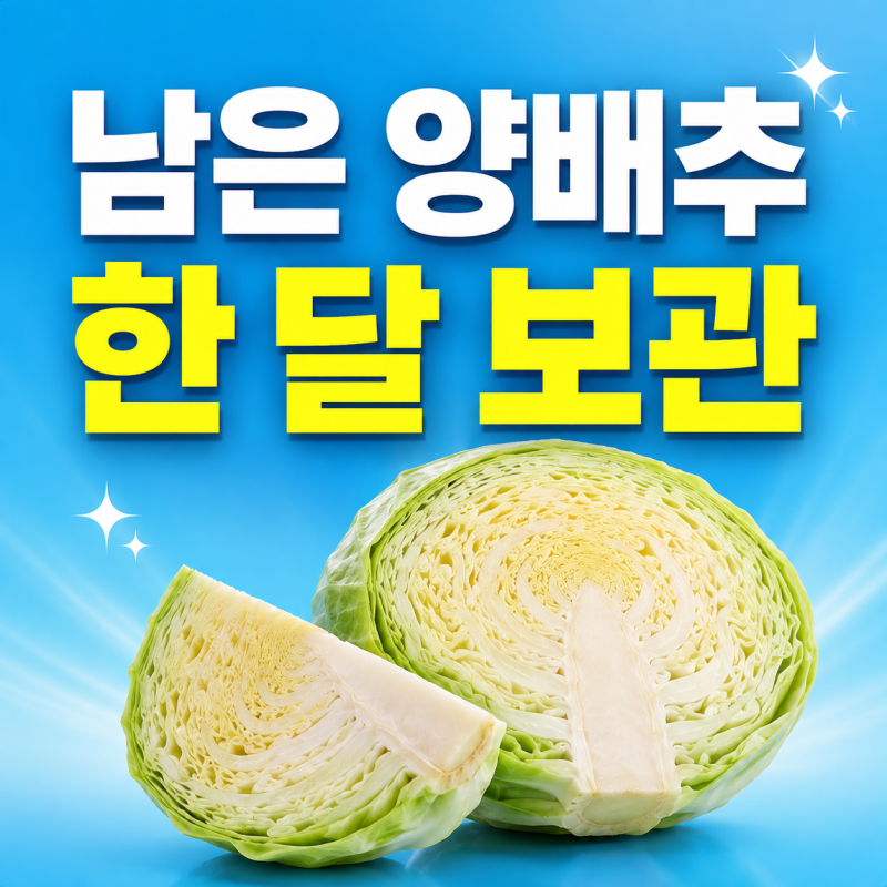 남은 양배추 보관방법 보관 기간 갈변 방지 한 달 보관하는 법