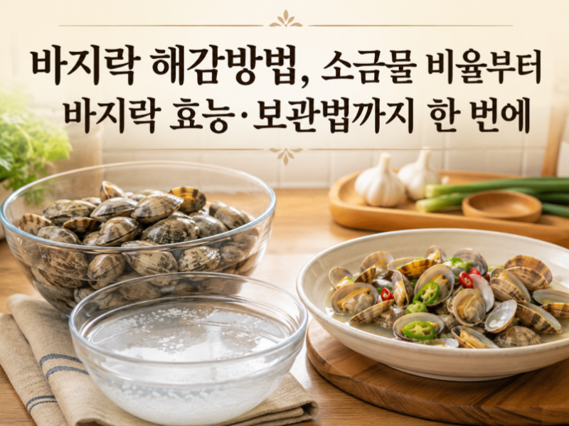 바지락 해감방법, 소금물 비율부터 바지락 효능·보관법까지 한 번에