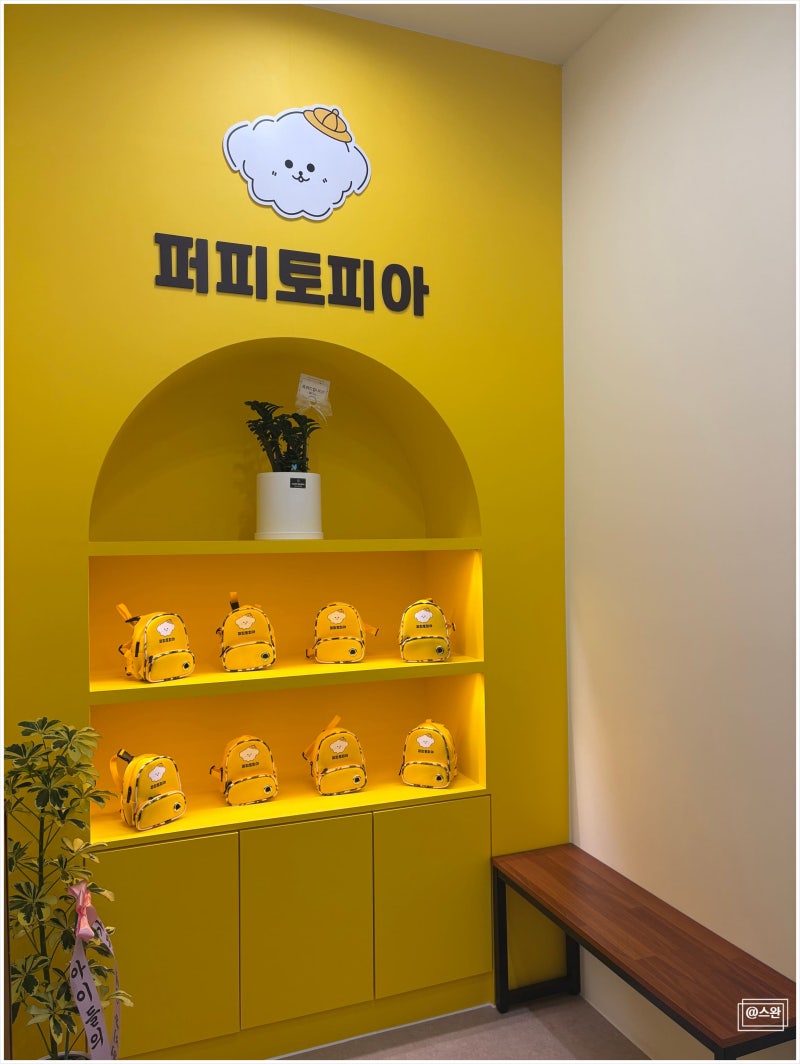 광주애견유치원 퍼피토피아 쌍촌점 광주애견호텔 후기 광주강아지맡길곳 완전 추천