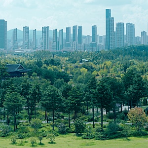 니콘 시네마카메라 ZR로 촬영한 국립세종수목원, 같은 초록 다른 느낌 이미징레시피 두 가지
