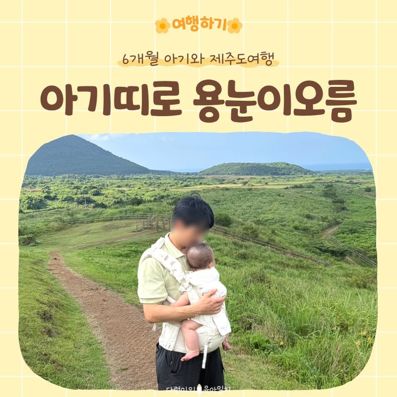 아기와 제주 용눈이오름 | 아기띠로 정상까지 소요시간 말 (+ 기갈대 위치)