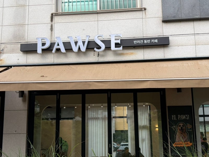 남양주 별내 애견동반 카페 포즈(Pause) 신상카페 추천, 직접 다녀온 솔직 후기