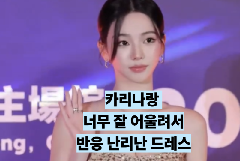 "또 레전드 갱신했다".. 말 나오는 카리나 시상식 드레스